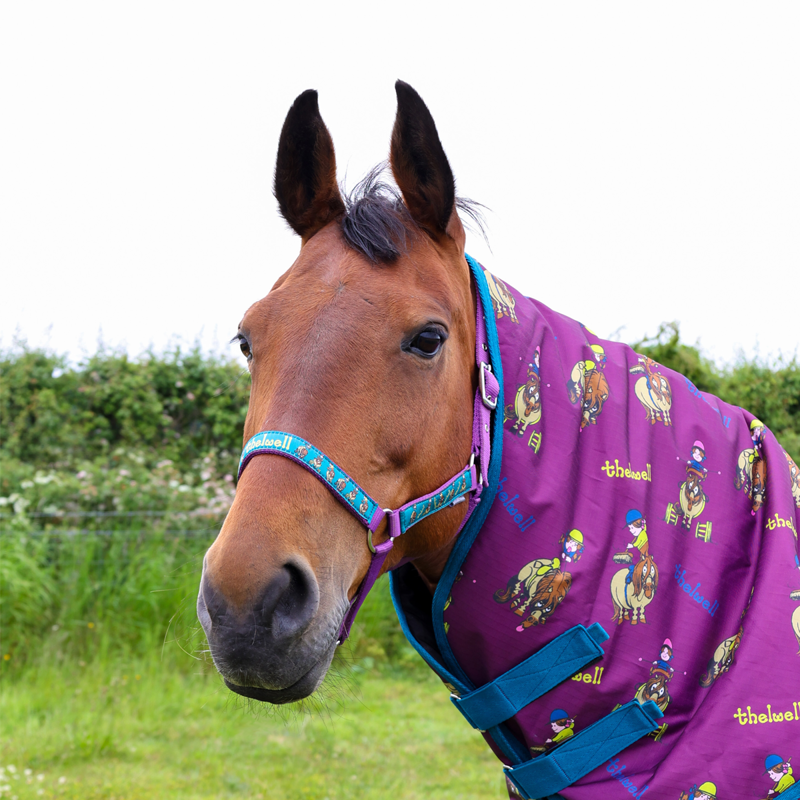 Hy Equestrian Thelwell Collection Pony Friends Headcollar and Leadrope - Imperial Purple/Pacific Blue-2